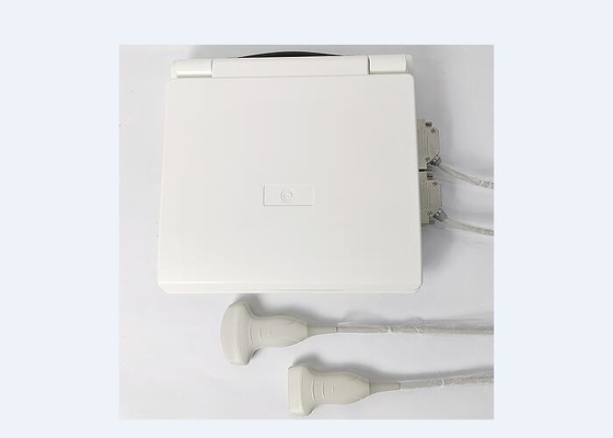 Vescica palmare portatile per scanner a ultrasuoni portatile 5 tipi di sonde disponibili