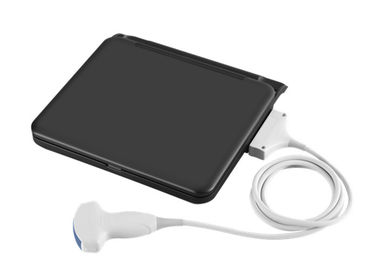 L'analizzatore medico diagnostico a 12 pollici di ultrasuono del computer portatile di ultrasuono del LED con una sonda collega il software del veterinario disponibile