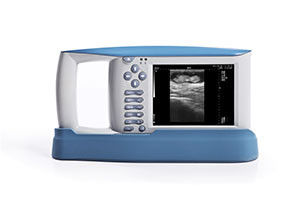 Attrezzatura diagnostica di ultrasuono di USB con il software di OB'per gli animali e uno stoccaggio di 100 immagini