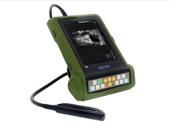 Analizzatore veterinario di ultrasuono della mini macchina di ultrasuono con il rapporto rettale lineare di OB'della sonda 6.5MHz disponibile