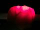Luce rossa infrarossa di Safty LED del cercatore della vena dell'indicatore di posizione della vena di Transilluminator