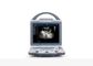 Analizzatore portatile di ultrasuono dell'analizzatore mobile di ultrasuono con la sonda convessa lineare transvaginale