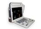Sonda portatile dell'analizzatore 3D 4D di ultrasuono di doppler della macchina portatile di ultrasuono facoltativa