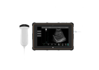Analizzatore portatile di ultrasuono dell'analizzatore di ultrasuono di B con la B, B+B, connessione USB di modo di B+M