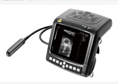 Il veterinario tenuto in mano B/la frequenza multi- dell'attrezzatura diagnostica dell'analizzatore ultrasuono di W sonda