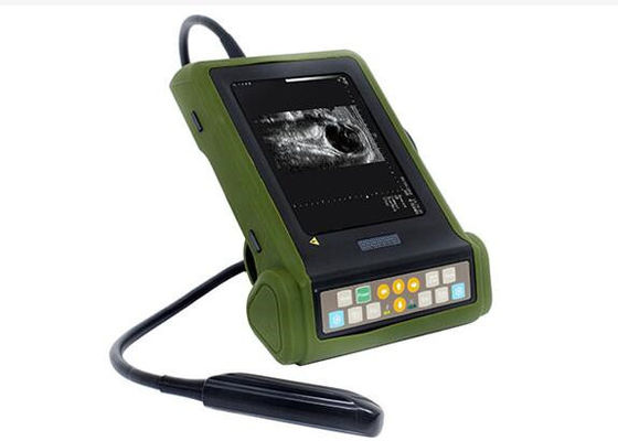 Mini scanner per ultrasuoni veterinari