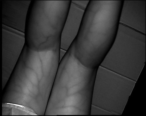 Tipo di alta risoluzione dispositivo della Tabella 800X480 dell'indicatore di posizione della vena con lo schermo 3.5Inch per la gamba mano-braccio