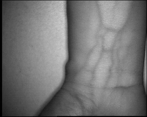 Tipo di alta risoluzione dispositivo della Tabella 800X480 dell'indicatore di posizione della vena con lo schermo 3.5Inch per la gamba mano-braccio