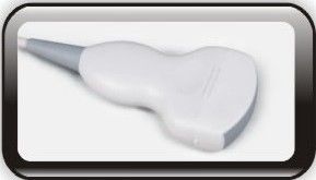 Analizzatore umano diagnostico a 15 pollici di ultrasuono della macchina di doppler di colore del LED con un collegamento di 2 sonde