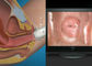 Uscita elettronica di Colposcope AV/USB di Digital dell'alta apparecchiatura ginecologica di definizione video