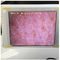 Sensore bianco dell'umidità della pelle del controllore dell'umidità della pelle di Wifi con la foto che visualizza in Ipad