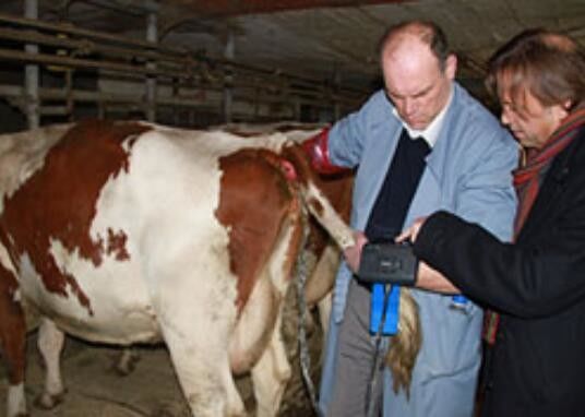 Scanner digitale veterinario ad ultrasuoni