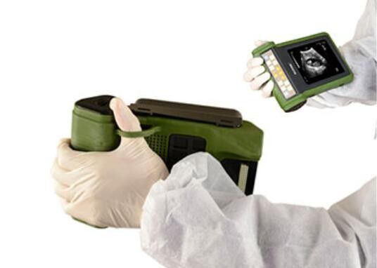 Mini scanner per ultrasuoni veterinari